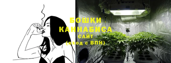 молекула духа Белокуриха