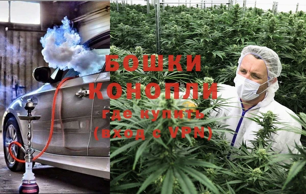 молекула духа Белокуриха