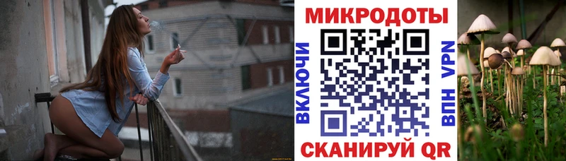 Галлюциногенные грибы Psilocybe продажа наркотиков Кущёвская